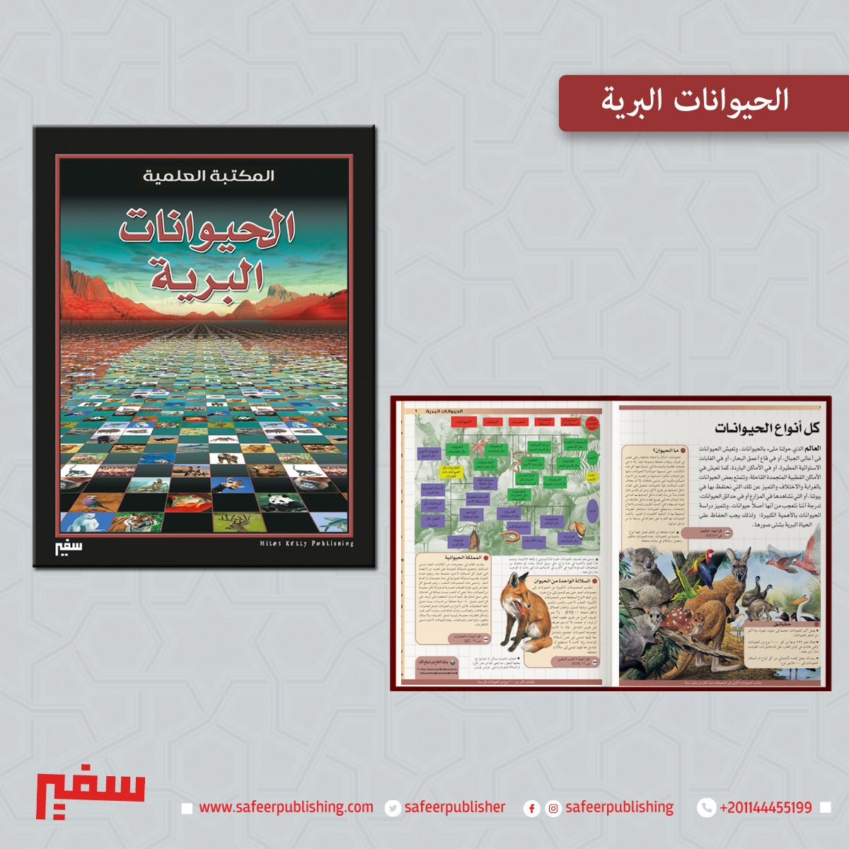 المكتبة العلمية -الحيوانات البرية